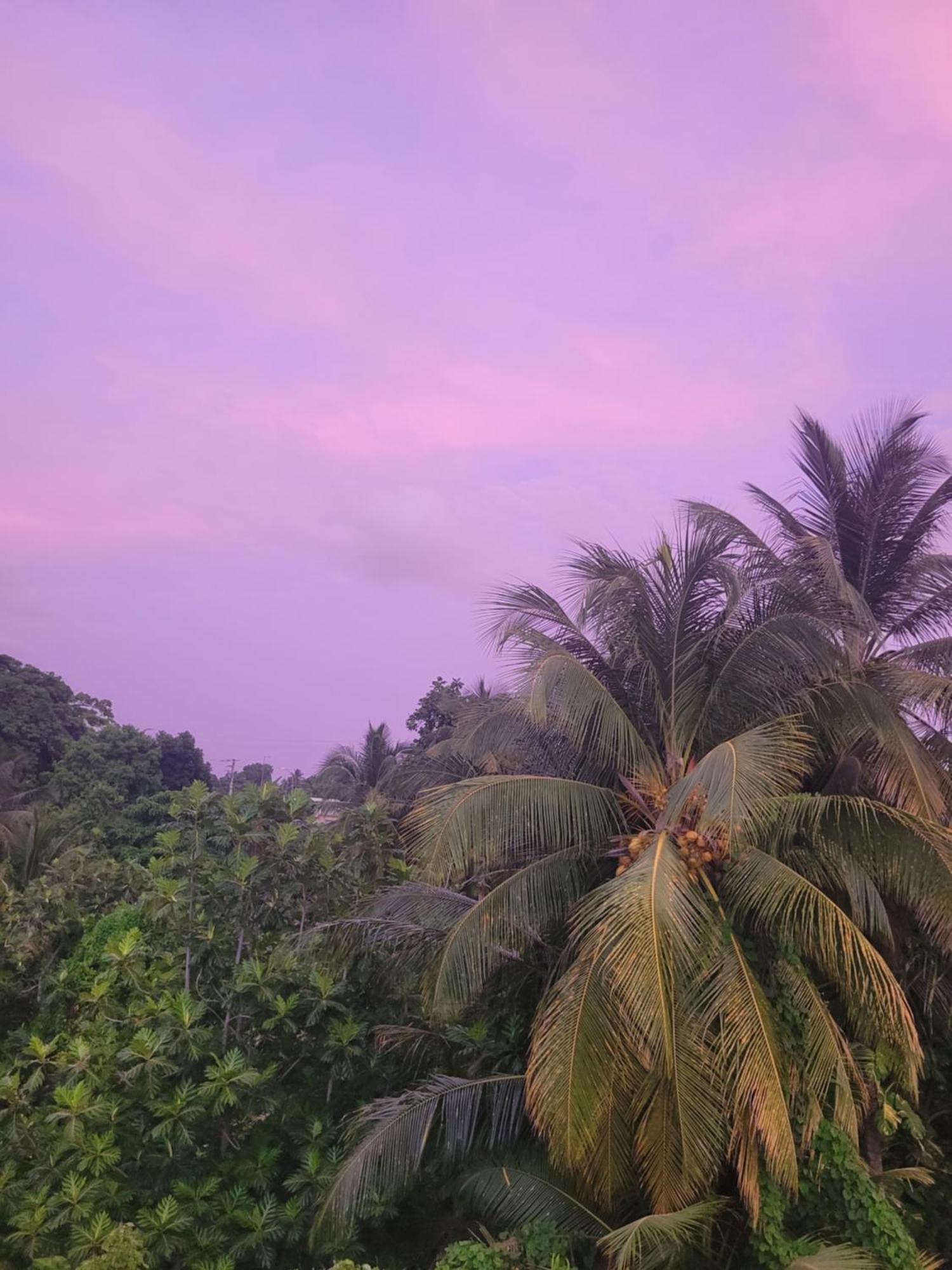 Ti Cocon Nature Sainte-Anne  Dış mekan fotoğraf