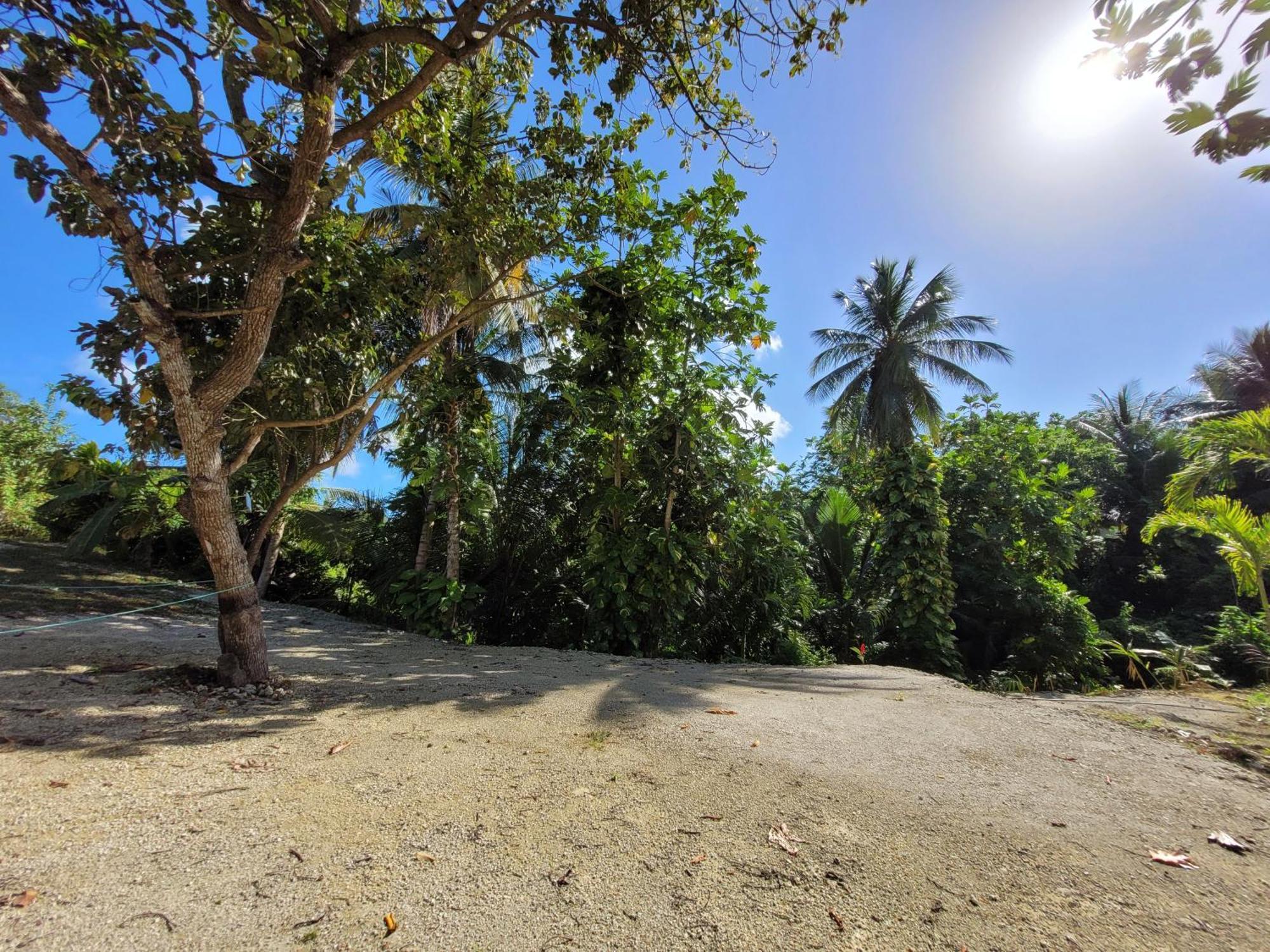 Ti Cocon Nature Sainte-Anne  Dış mekan fotoğraf